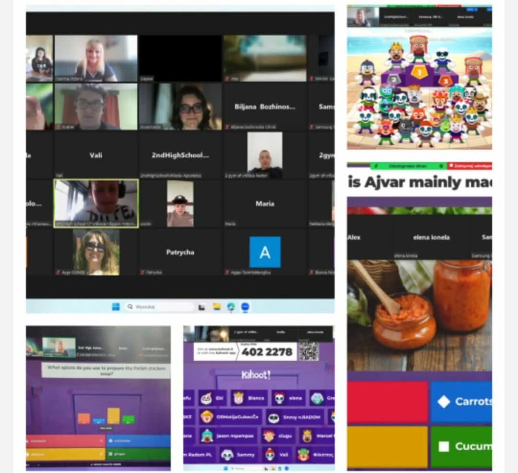 Proiect Etwinning 6